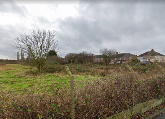 Carr Lane allotments