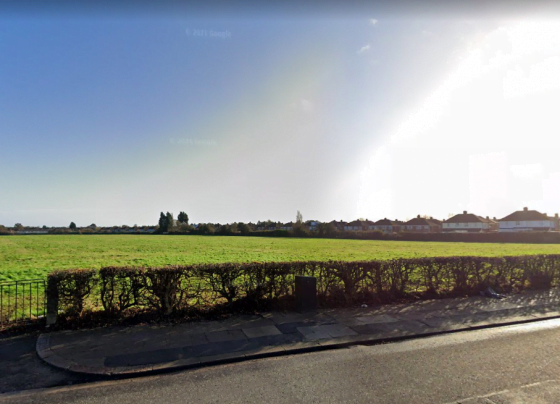 Housing development
