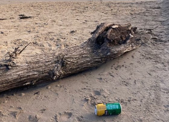 Littering in North East Lincolnshire