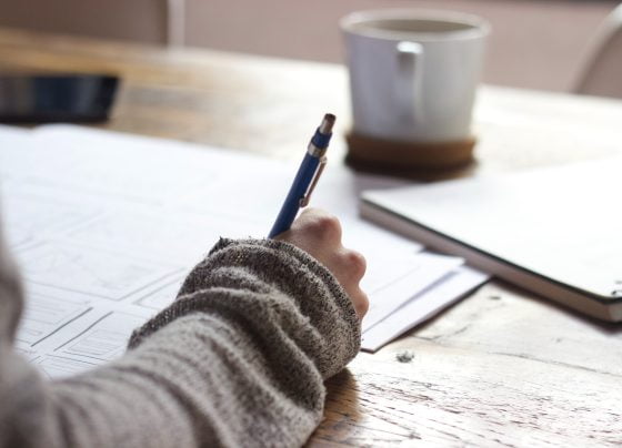 Household Support Grant