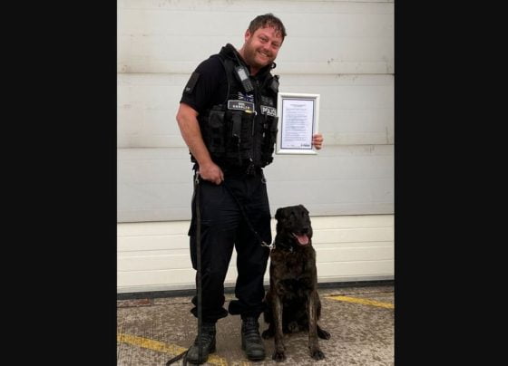 police dog and handler