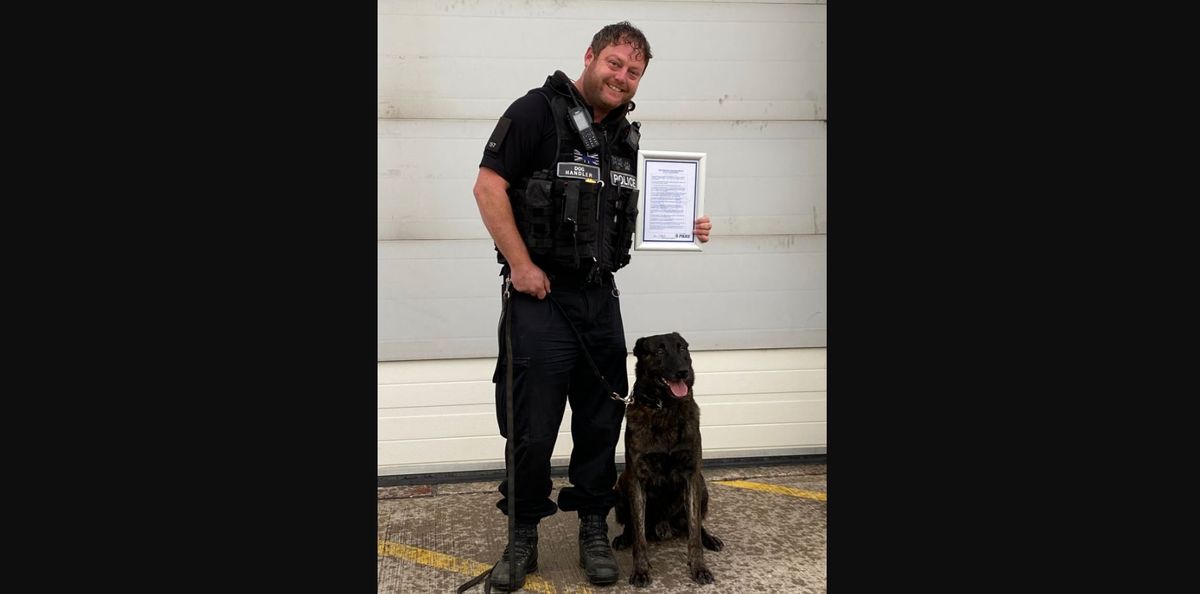 police dog and handler