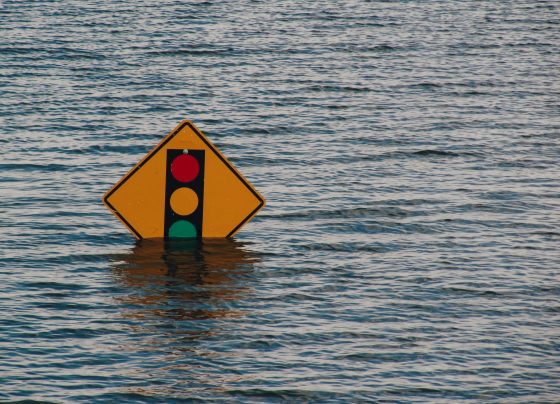 flood action week