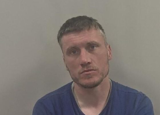 assault and criminal damage