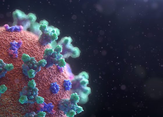 Covid vaccines