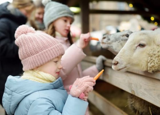 foster carers discounts