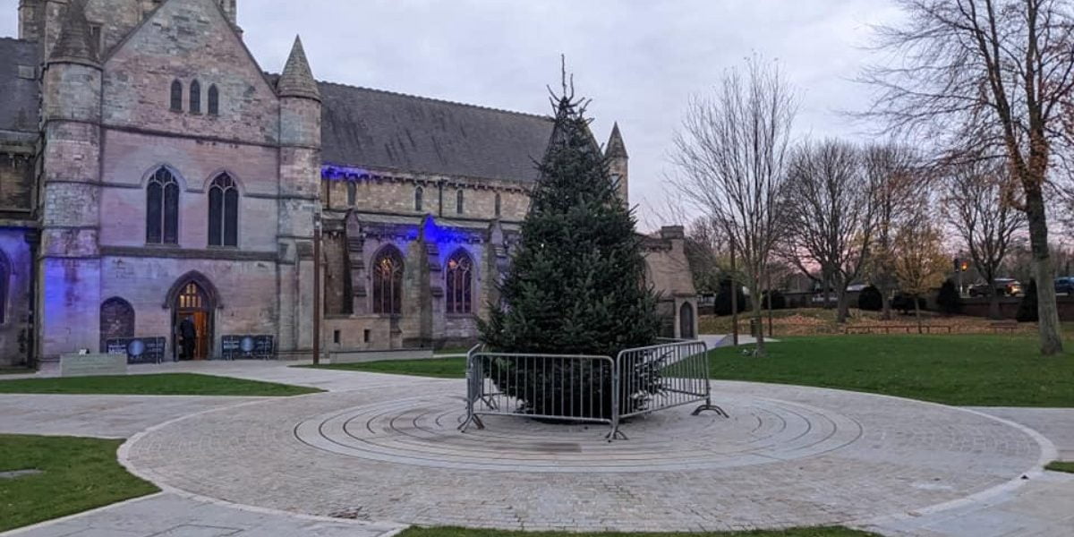 Christmas tree vandalism