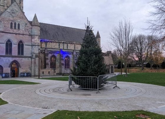 Christmas tree vandalism