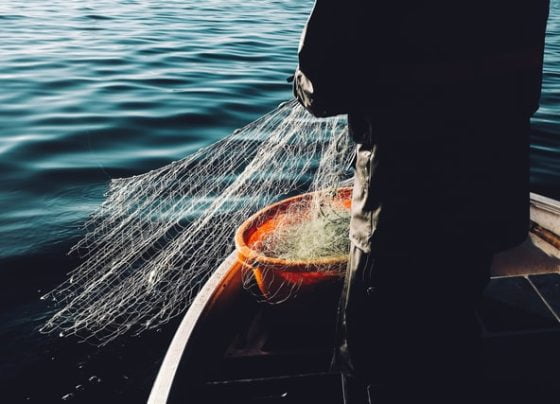 Fishing industry to receive £75m modernisation boost