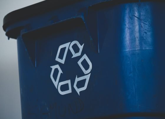 bin dates