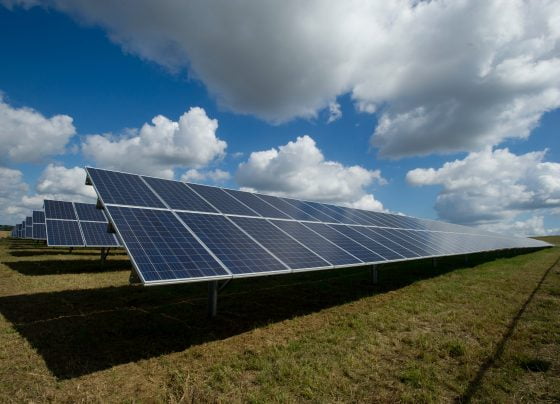 solar farm
