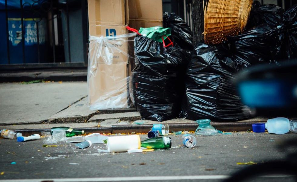 littering fines