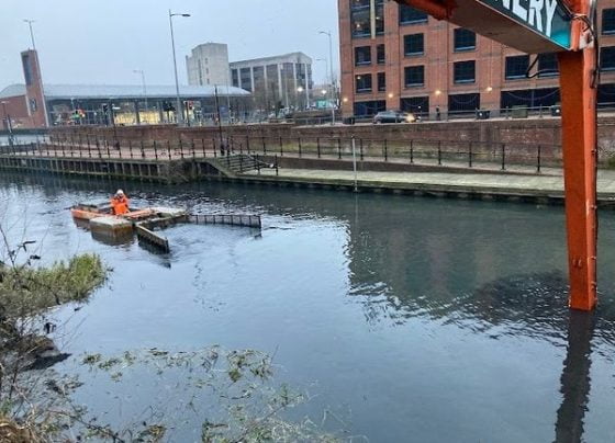 River Freshney