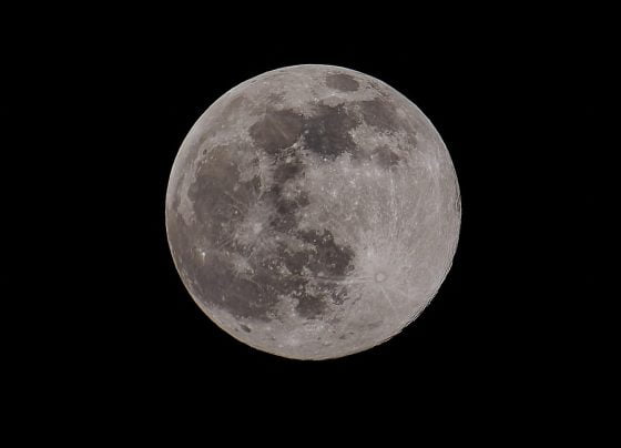 Wolf Moon