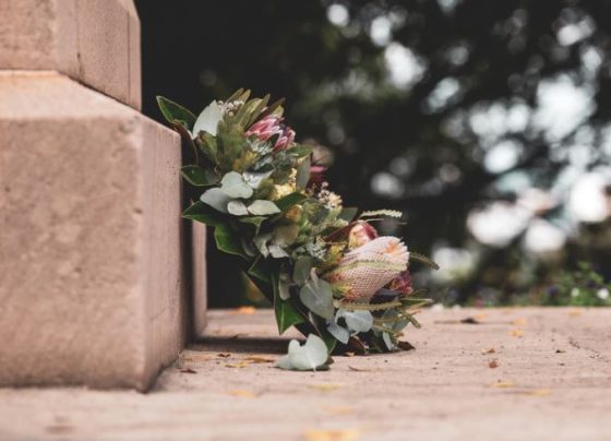 burial plot mistake