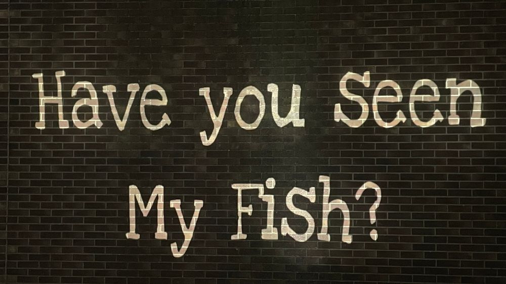 MyFishGY