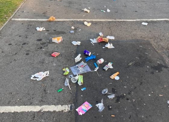 Litter